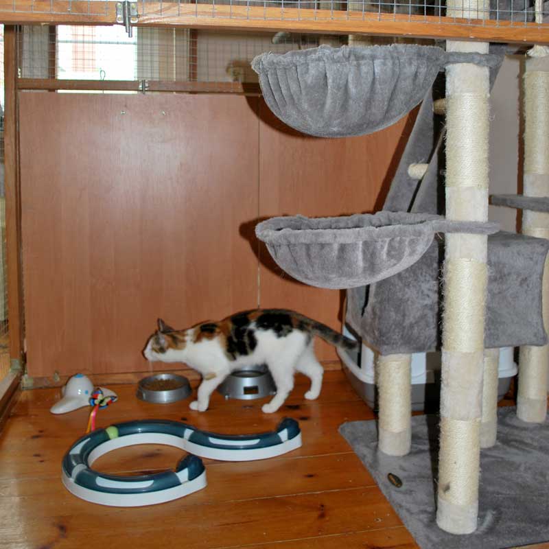 placeholder image-sq