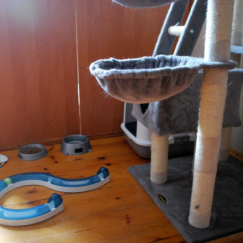 placeholder image-sq