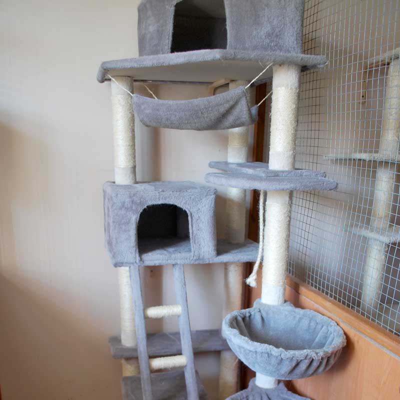 placeholder image-sq