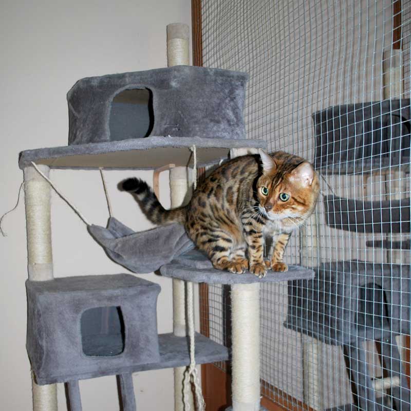 placeholder image-sq