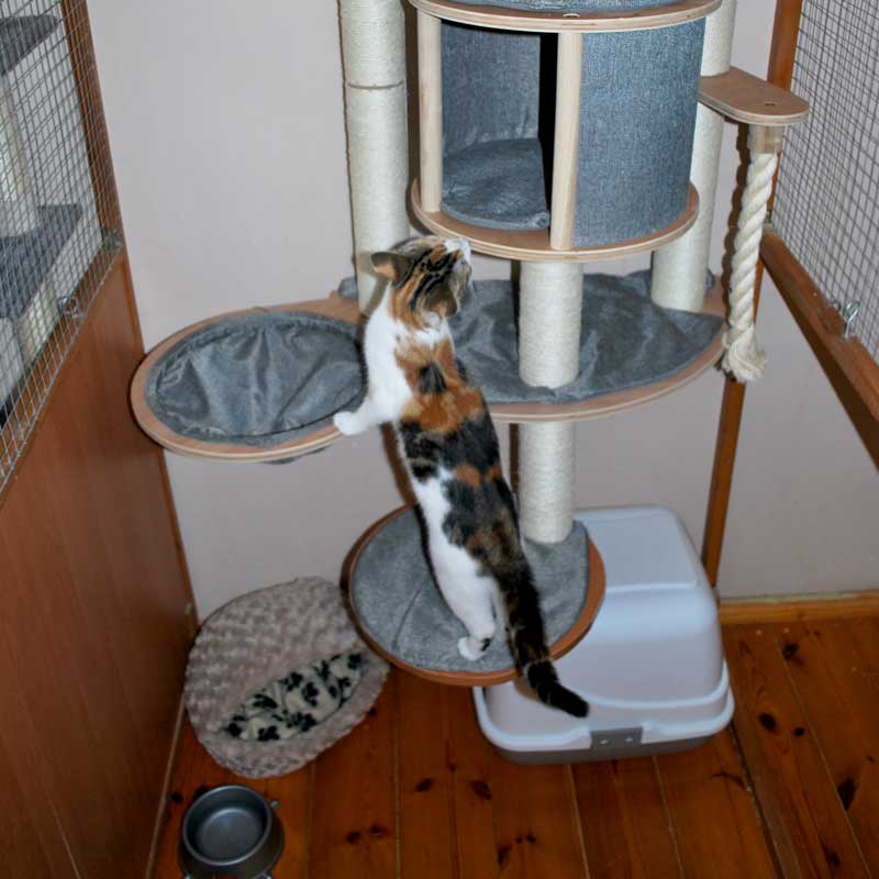 placeholder image-sq