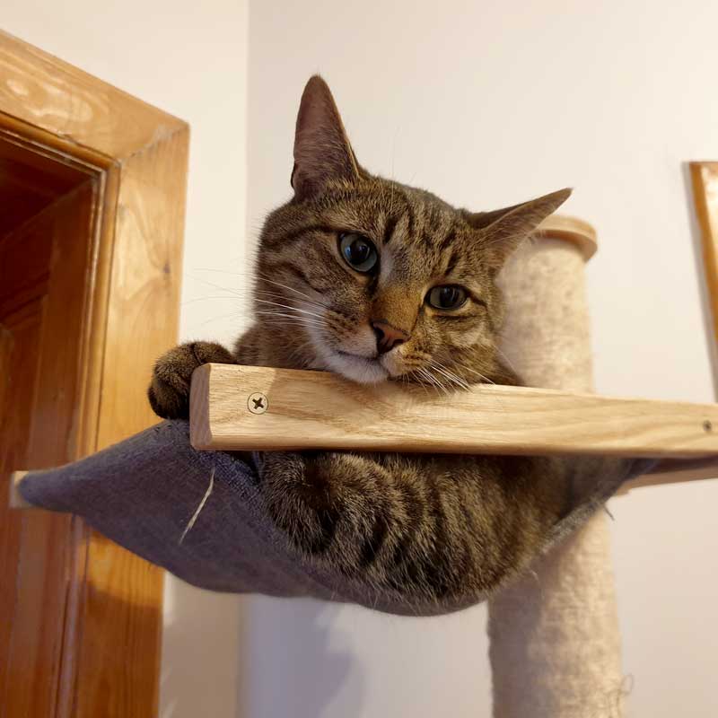 placeholder image-sq