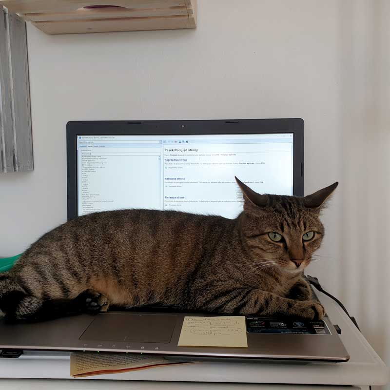 placeholder image-sq