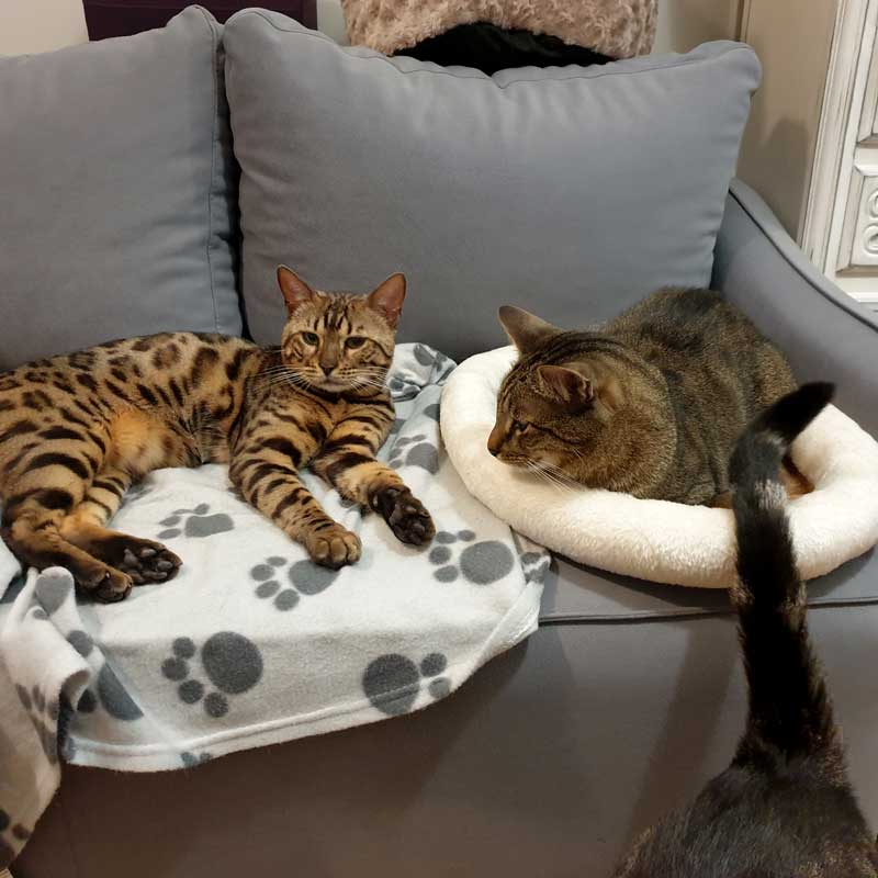 placeholder image-sq