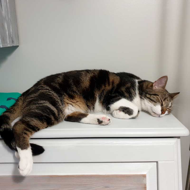 placeholder image-sq